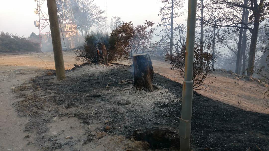 Incendio en Bosque Alegre by OAC