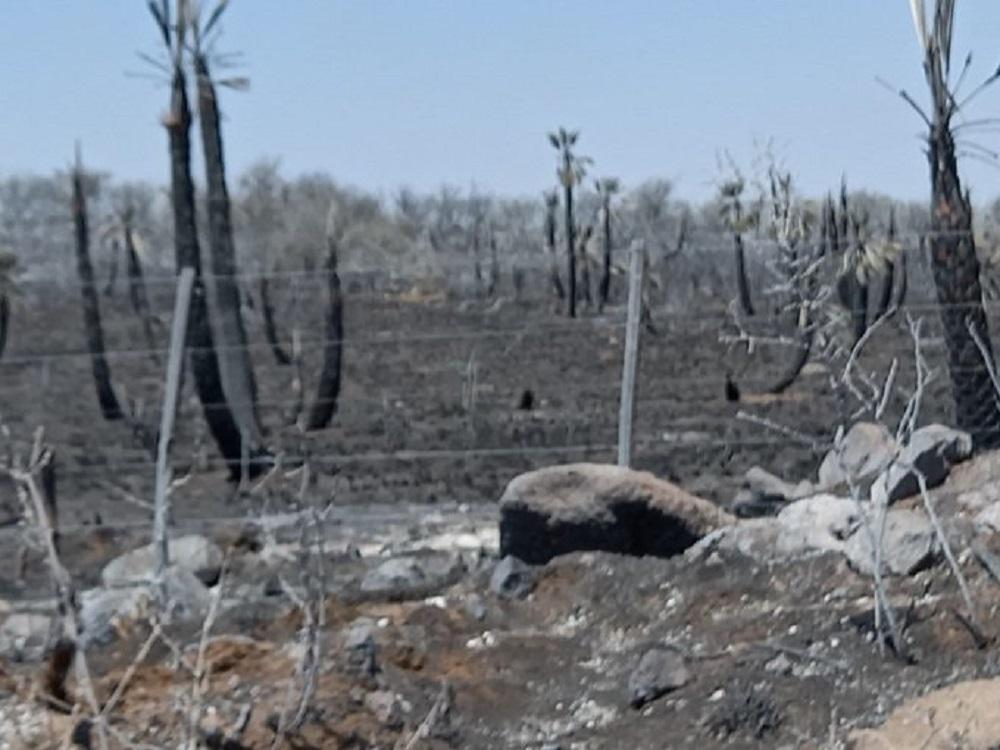 incendios en el norte Tw Min de Seguridad