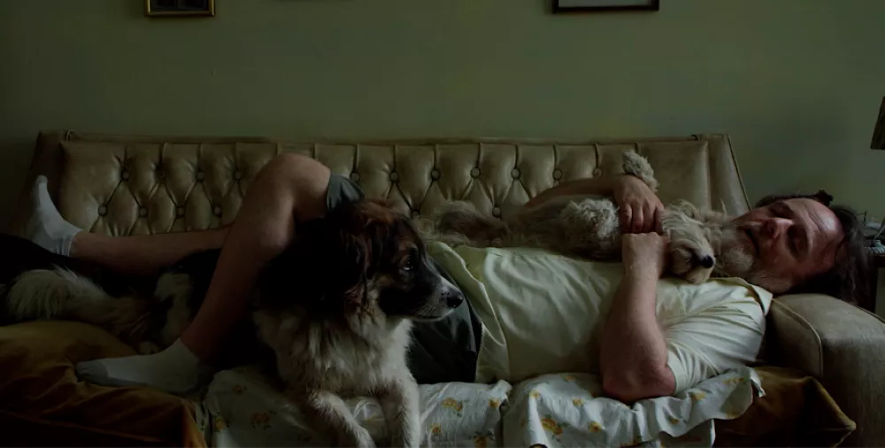 Pelicula Sietre perros