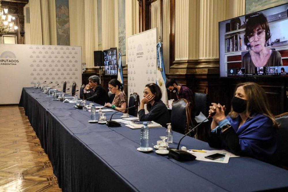 debate aborto @DiputadosAr