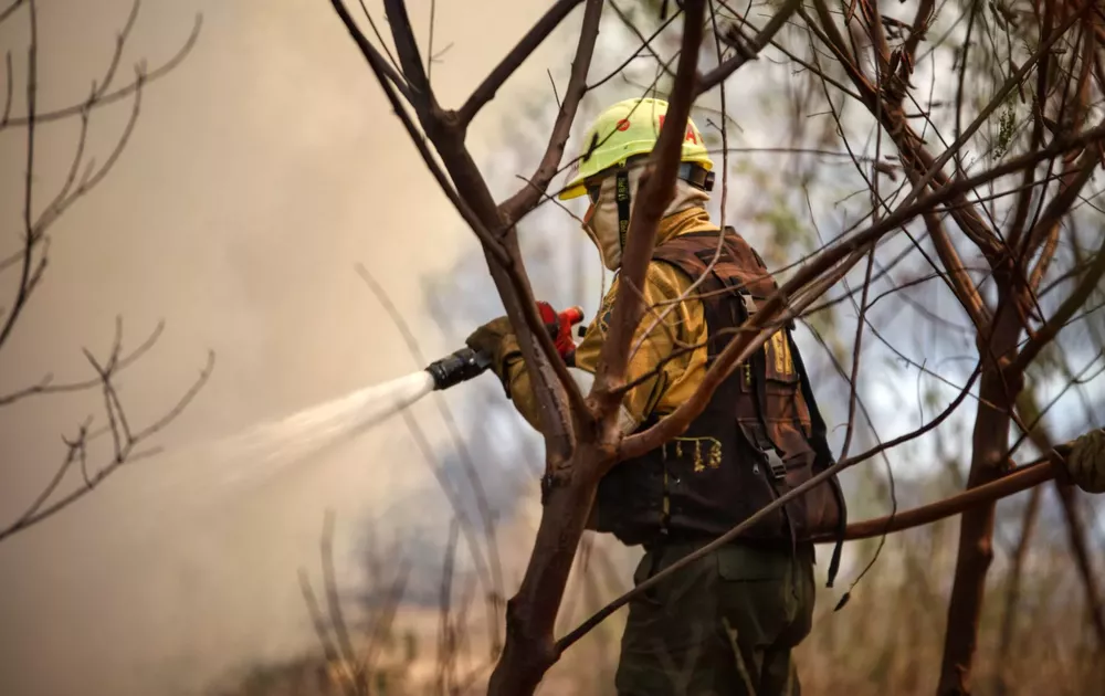 Incendios en Corrientes (NA) 3