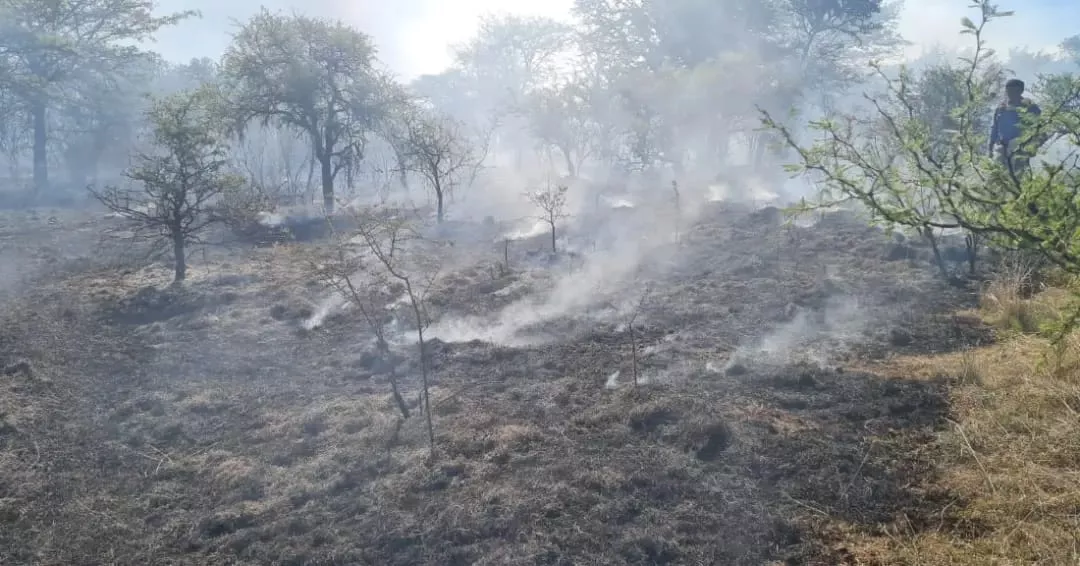 Incendio entre Los Molinos y La Quintana 2
