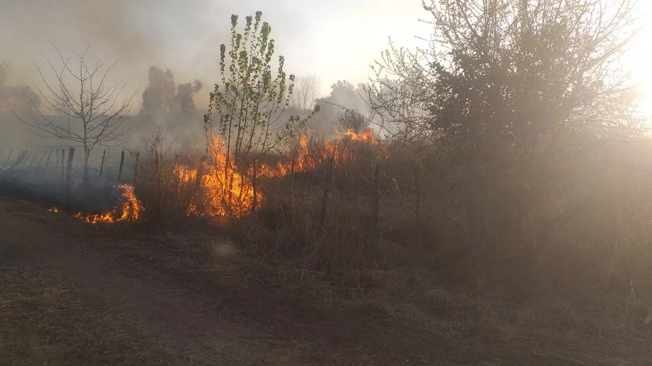 Incendio intencional en Departamento San Javier