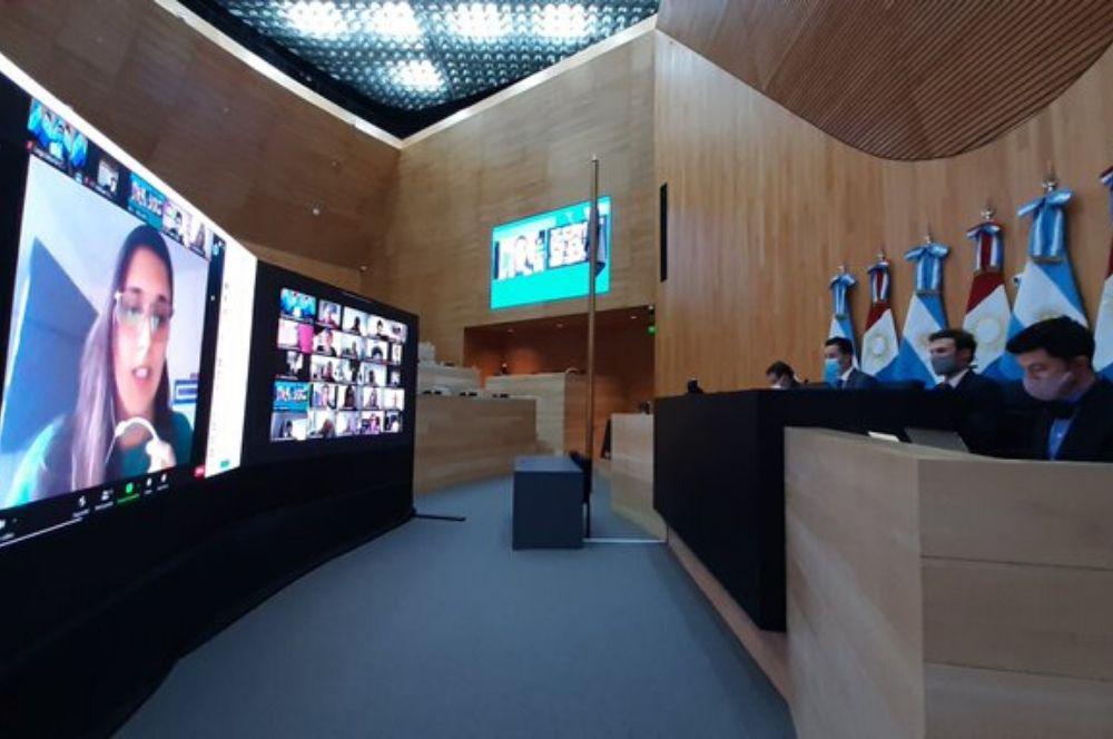 Tercera sesion virtual Legisaltura de Córdoba