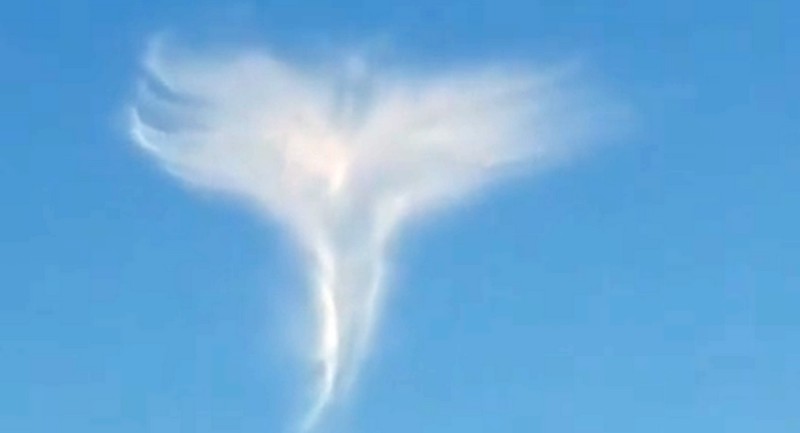 angel2