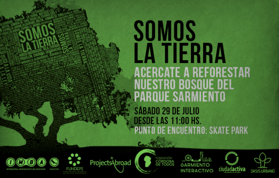 reforestacion