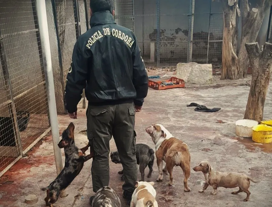 Allanamiento por maltrato animal en Villa Unión (Policía) 1