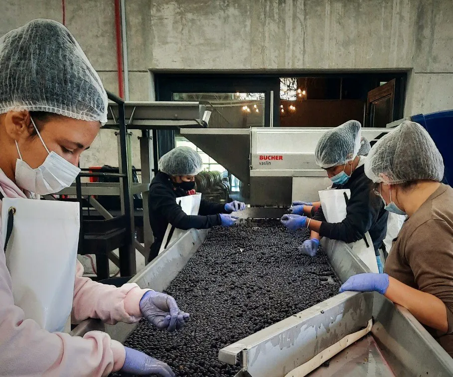 Mujeres trabajadoras (argentina.gob.ar) 2