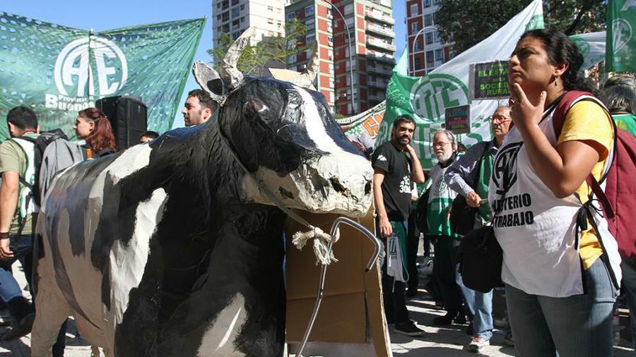 despidos agroindustria by Bernardino Avila