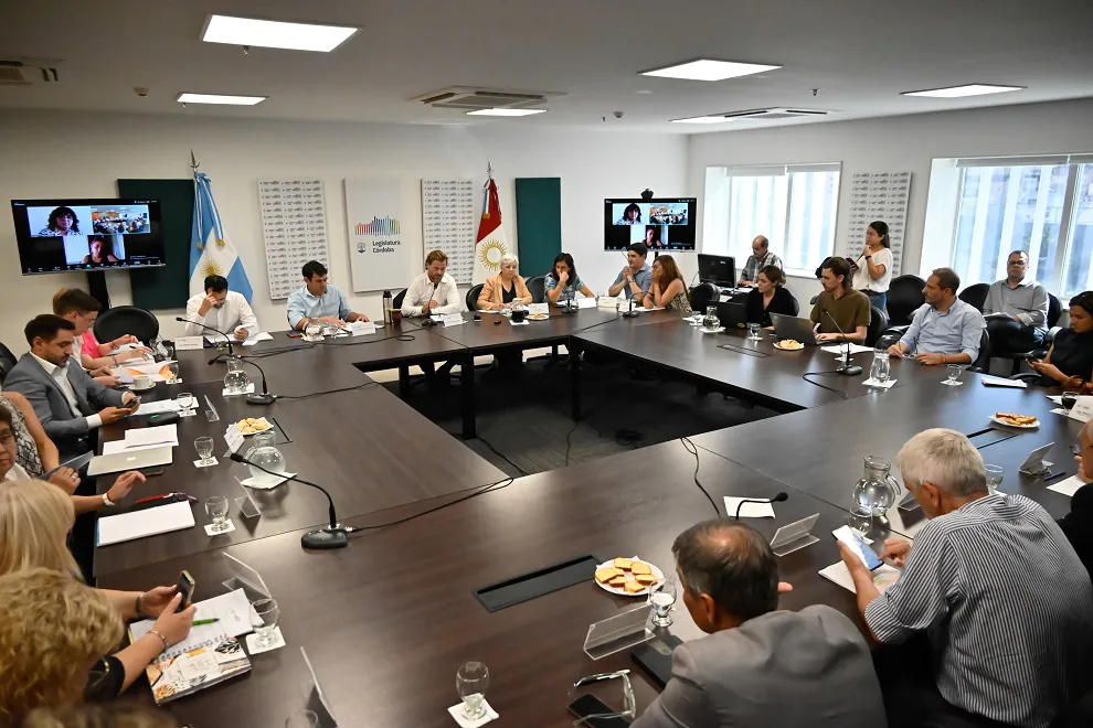 Reunión de comisiones por cambios en el Regimen Penal Juvenil (Legislatura de Córdoba)