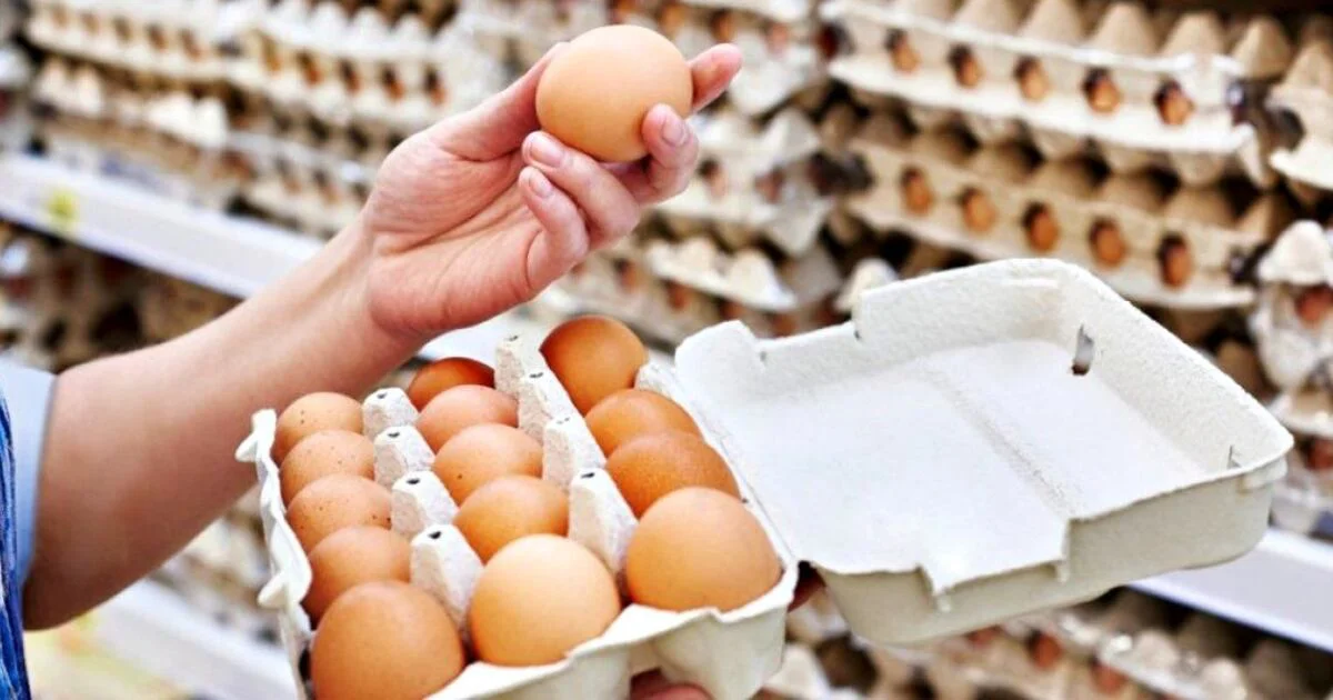 huevos