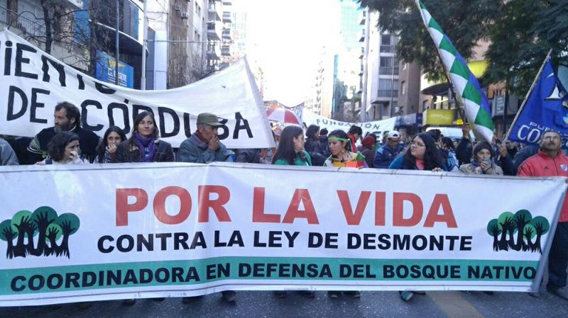 leyde bosques marcha