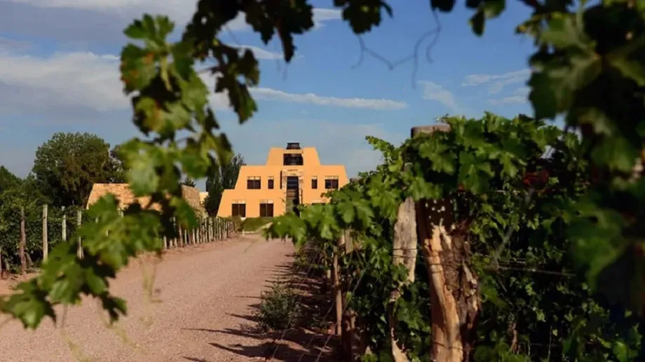 turista bodega
