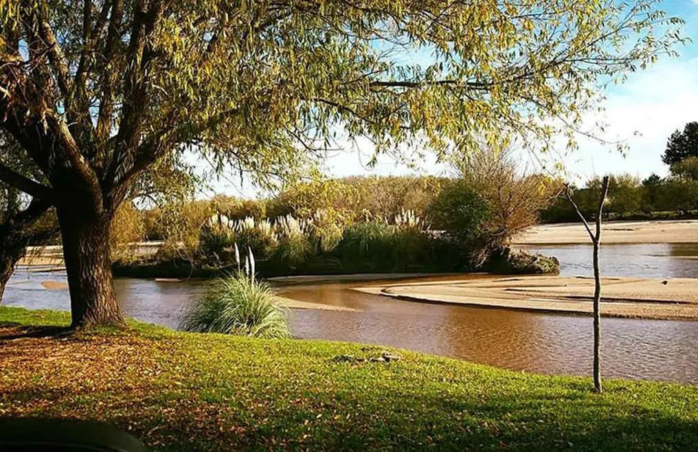 arroyo de los patos web