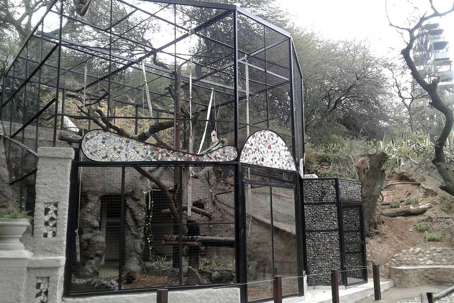 monos caraya