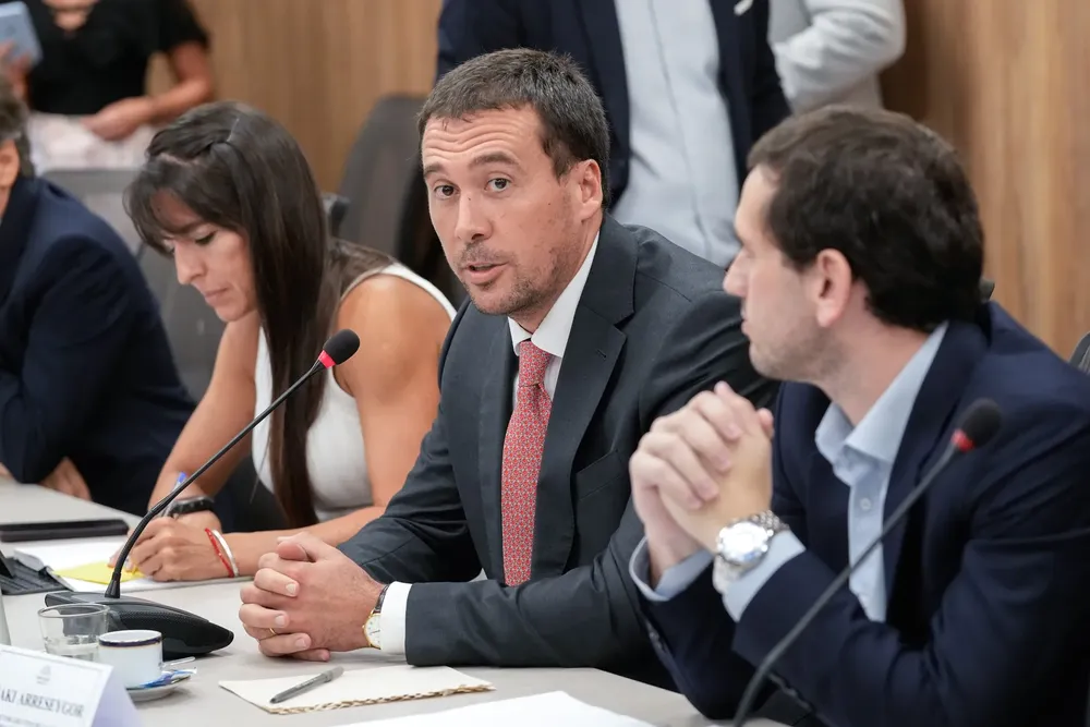 Iñaki Arreseygor en Diputados (Diputados en X)