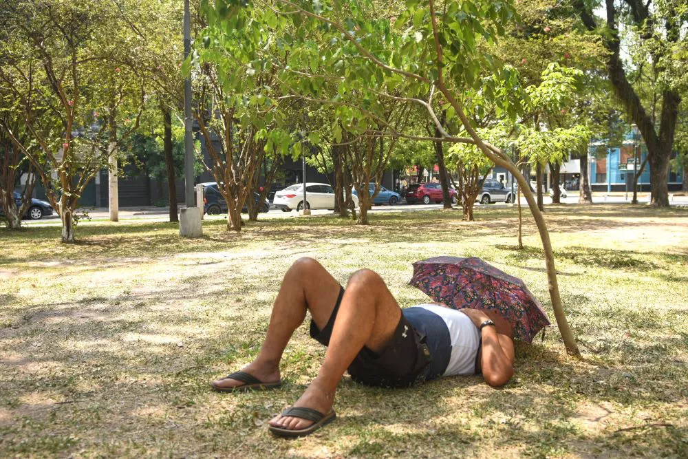 calor genérica by Télam
