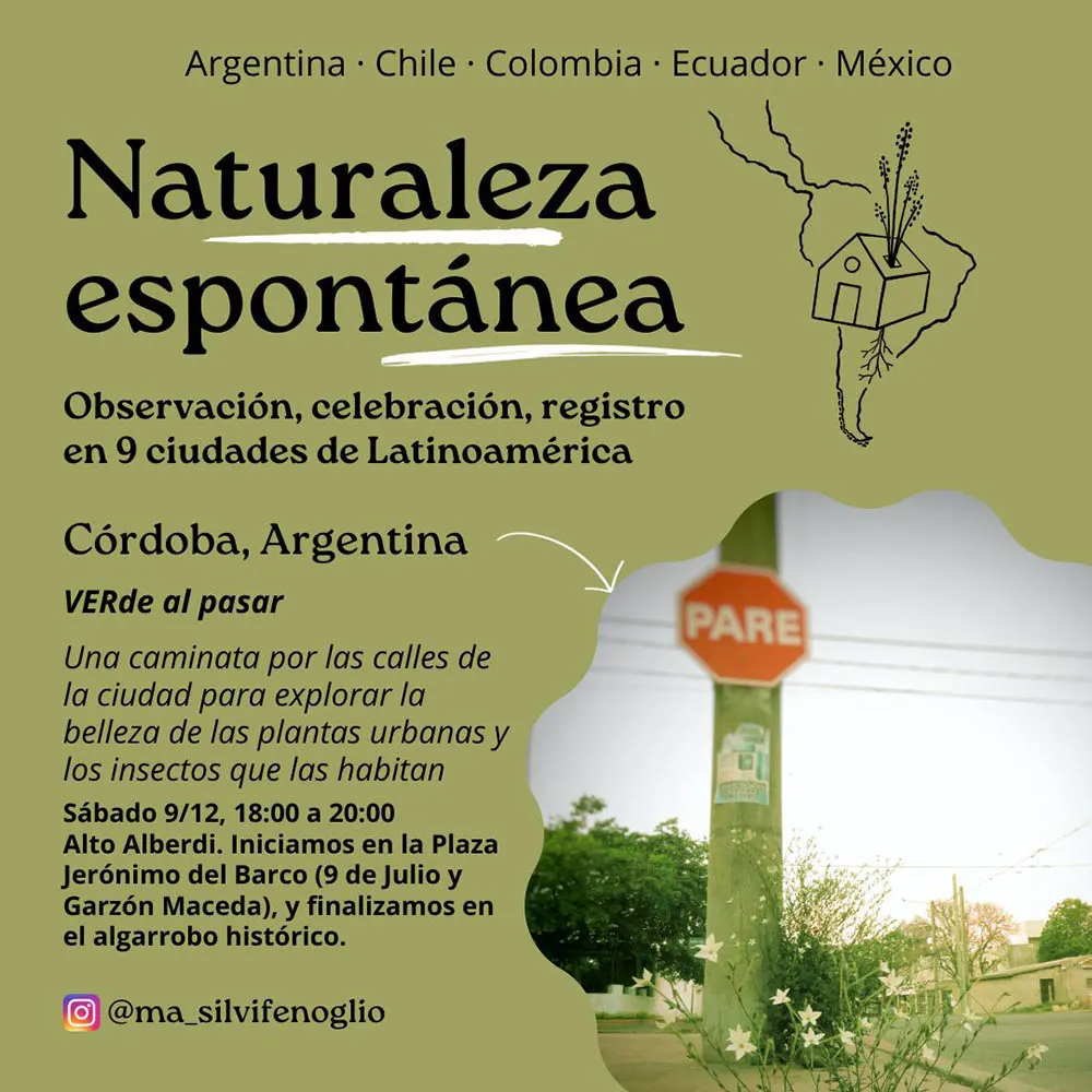 NATURALEZA ESPONTÁNEA03