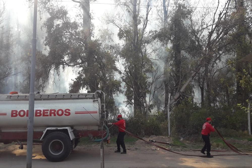 incendio bosque celso barrios by Javier Sassi