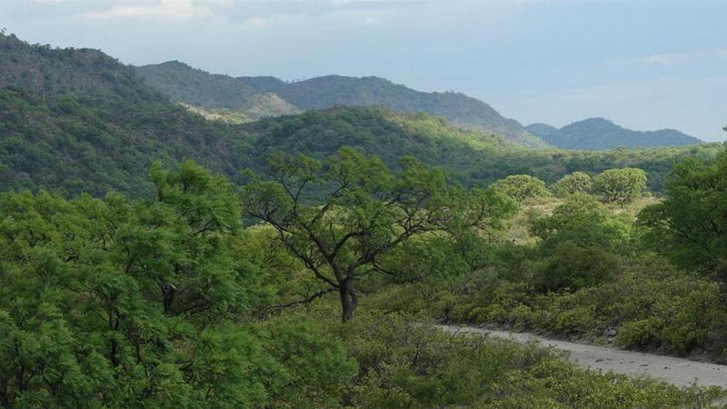 FOTO ESTANCIA PINAS 1