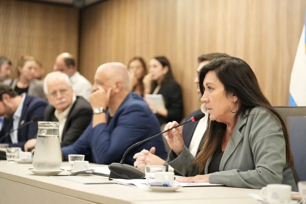 Laura Rodriguez machado by DiputadosAR
