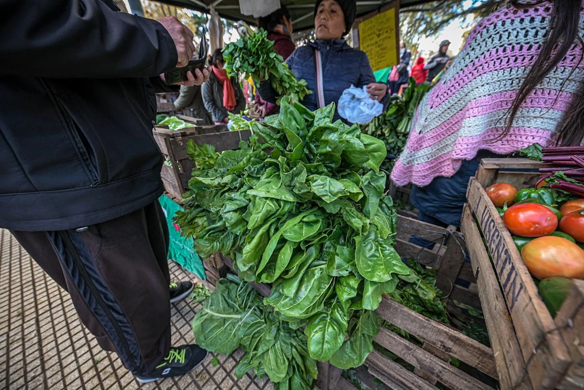 Feria de alimentos (gentileza Qué Digital)