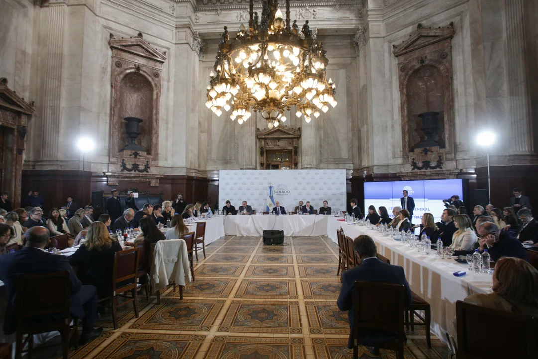 Senado Ley Bases by na