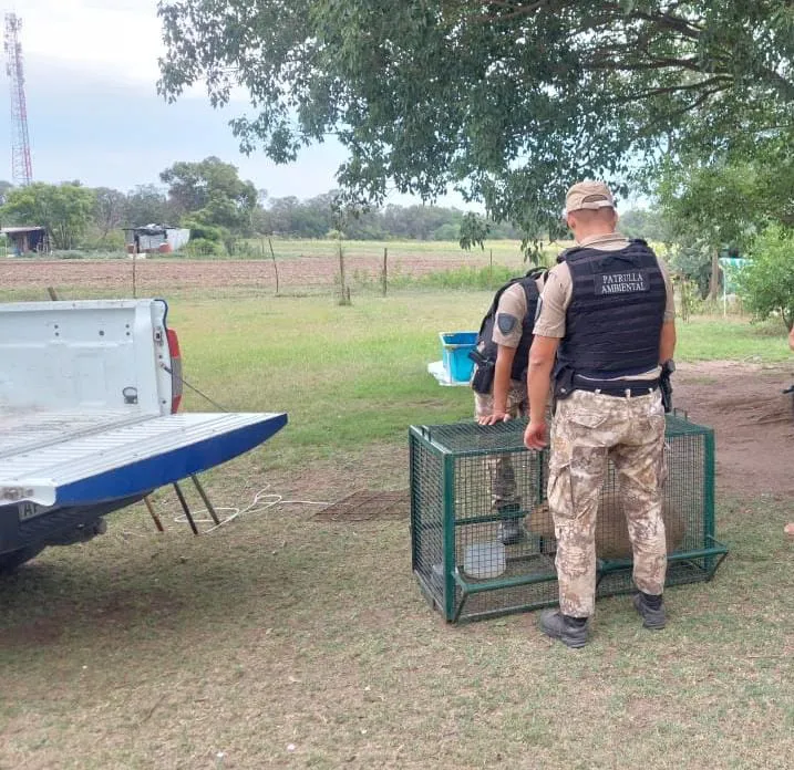 Animal rescatado (Policía) 3
