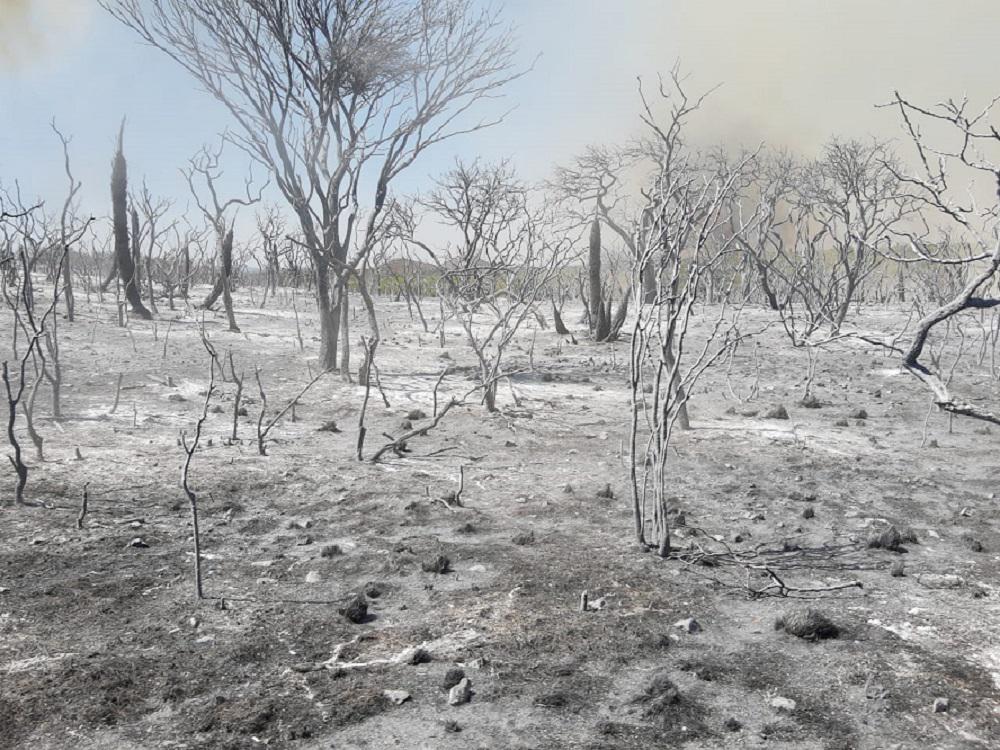 incendio ambul diego concha