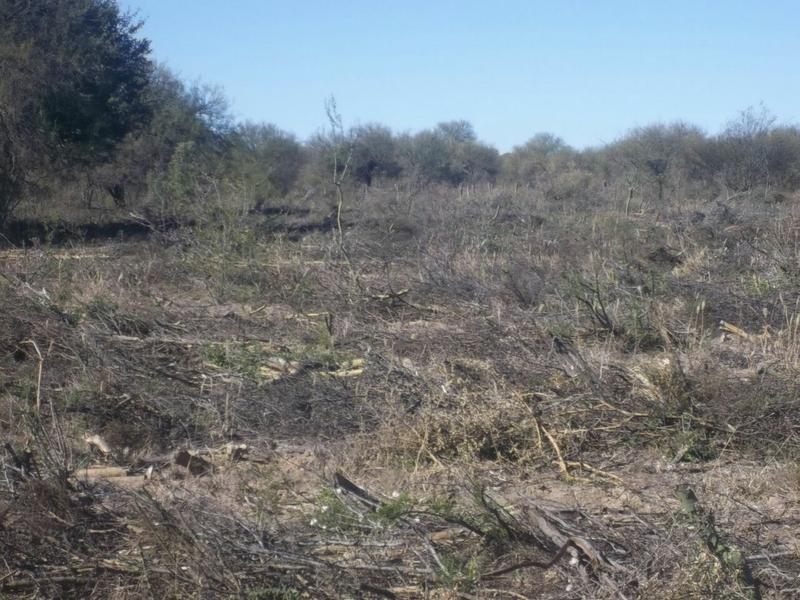 Desmonte agroquímicos Campo La Libertad