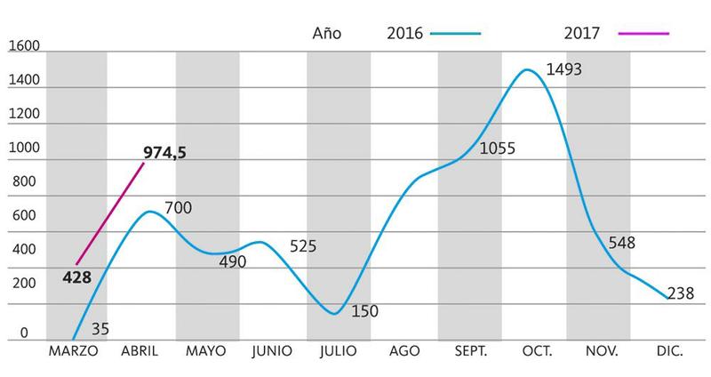 grafico