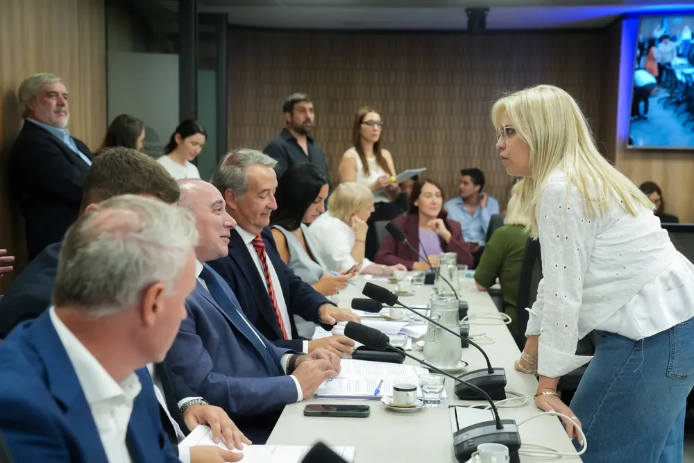 Plenario de comisiones en Diputados por la reforma de la Ley de Glaciares (X de Diputados)
