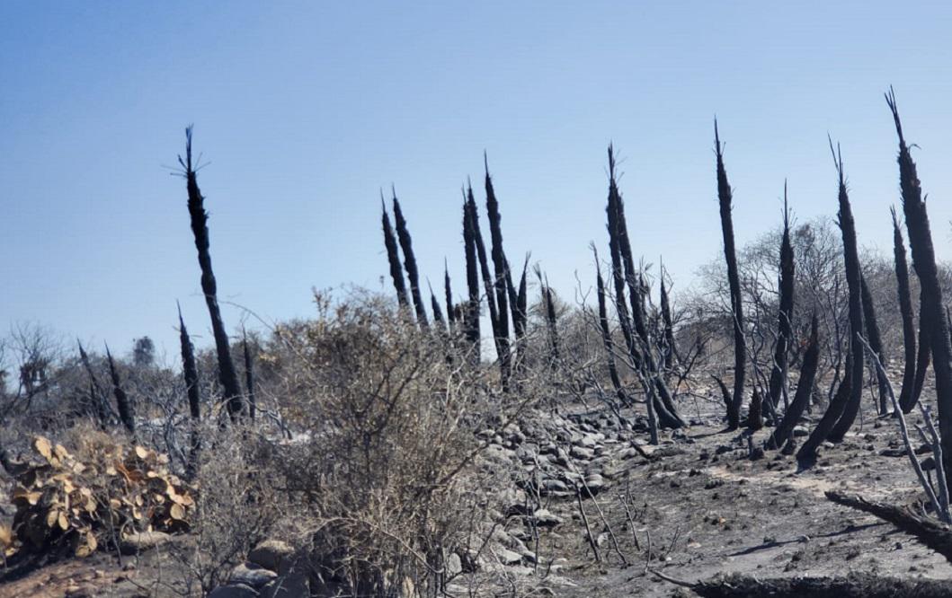 incencedio traslasierra