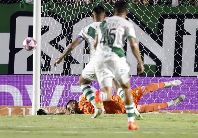 Banfield Boca 3