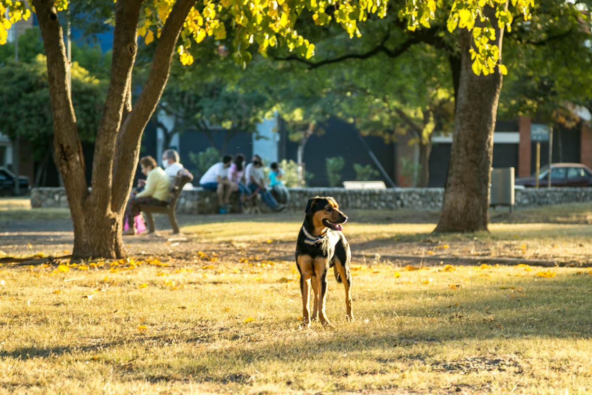 CovidCba Gente Paseos © 2020 Javier Imaz_002