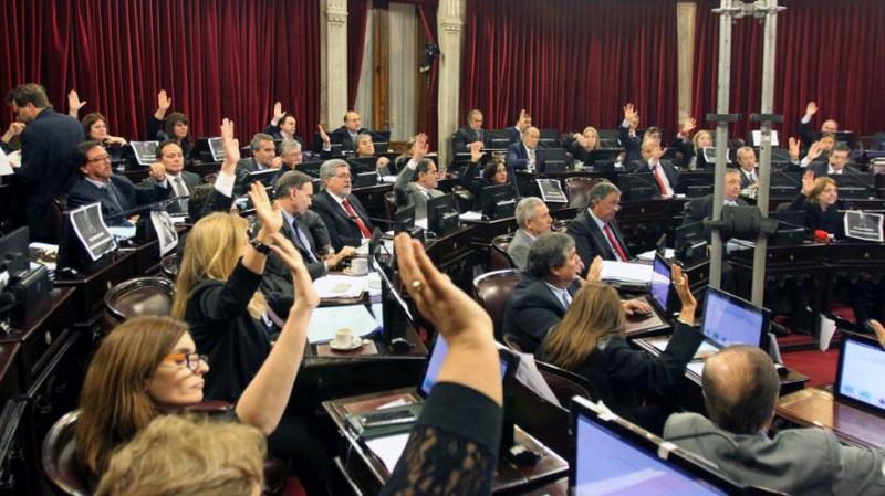 senado
