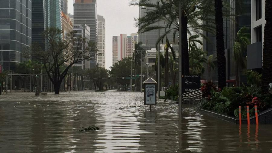 Galeria-Huracan-Irma-Miami-5