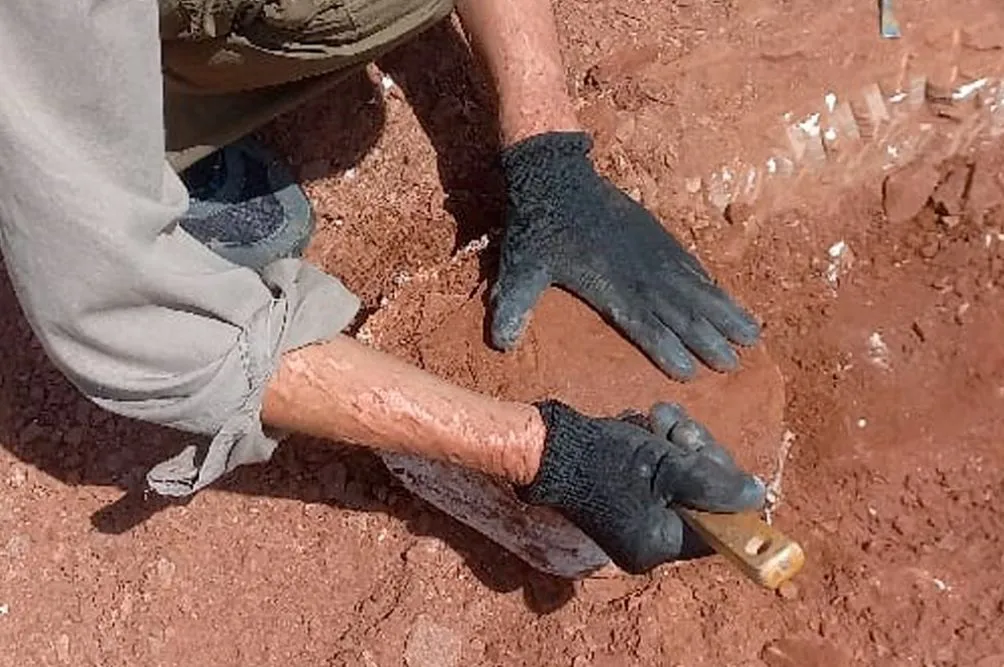 multimedia.normal.8dc5945dc264f288.bm9ybWFsLndlYnA%3D