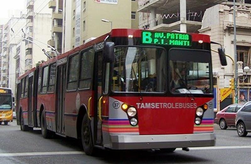 tamse trolebuses trole