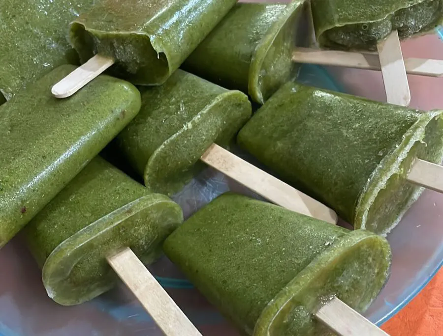 Helados de clorofila en la escuela Cura Eleodoro Fierro 1