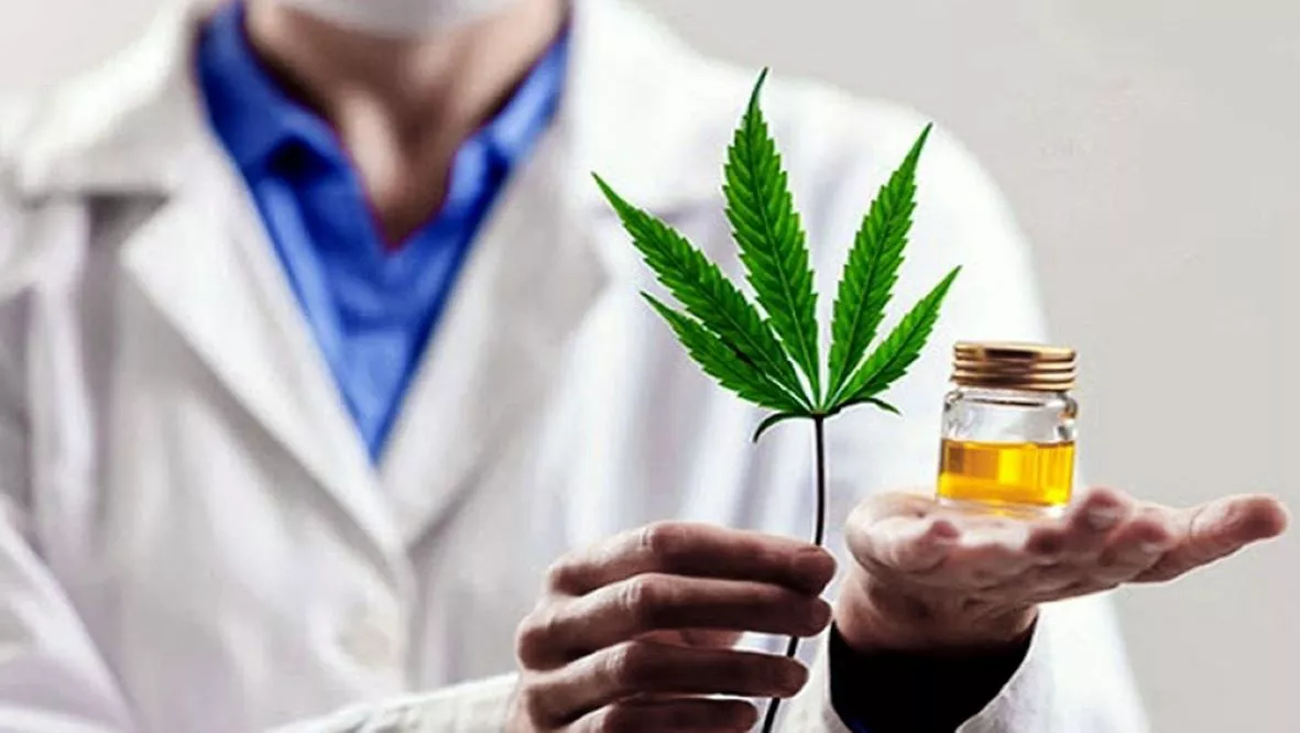 Cannabis medicinal by Télam