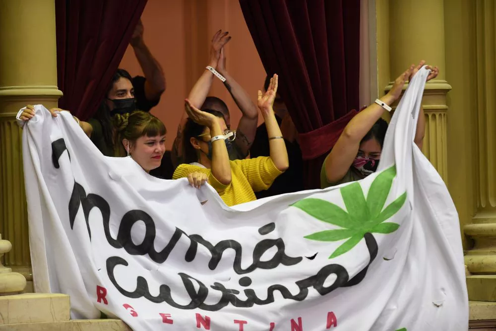 Ley Cannabis en Dkiputados by Télam
