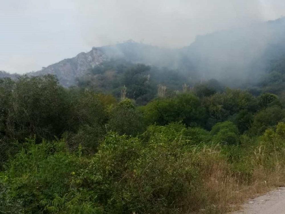 Incendio en Candonga Diario Sierras