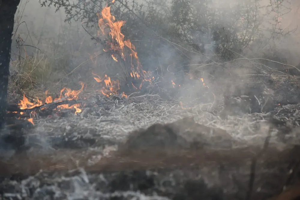 incendio en mayu sumaj tw min de gob de cba