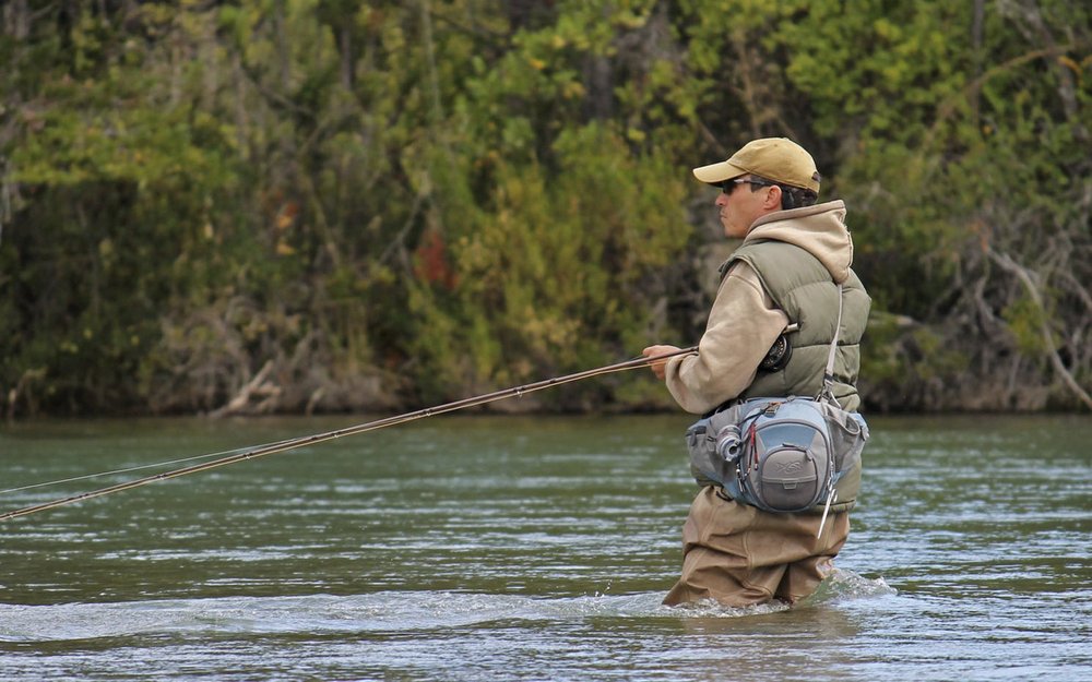 pesca