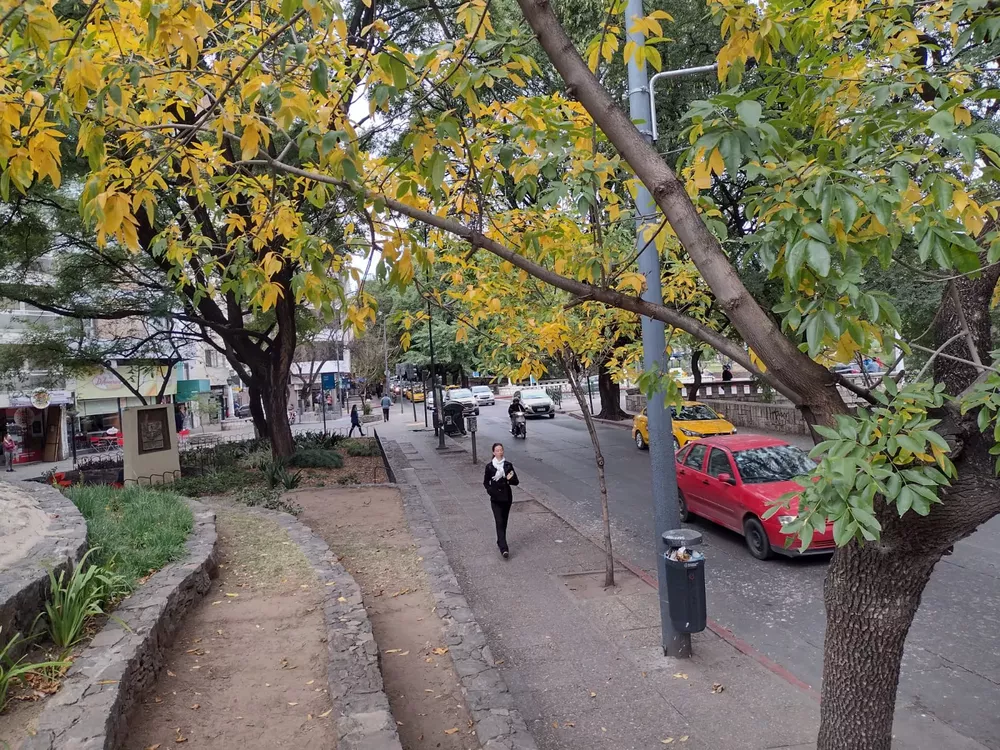 Otoño LNM