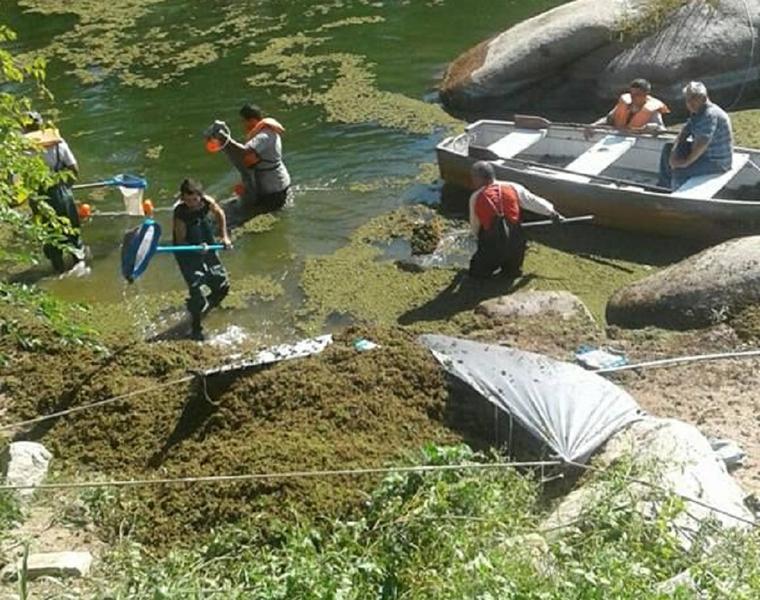 Patrulla del Río comenzó limpieza  en río Los Chorrillos