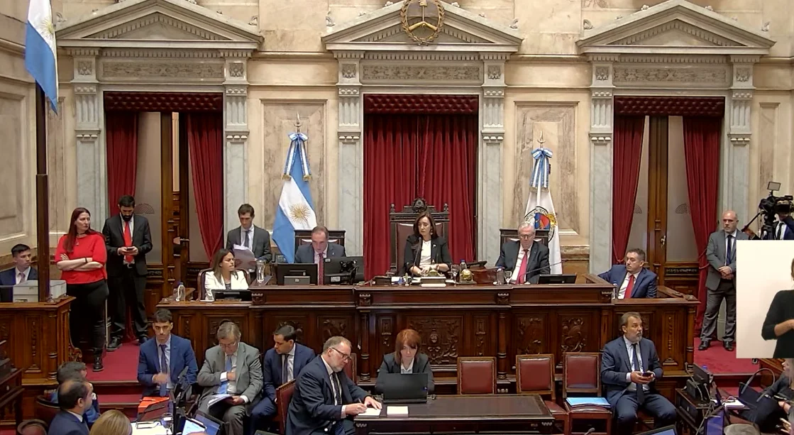 Cámara de Senadores (captura)