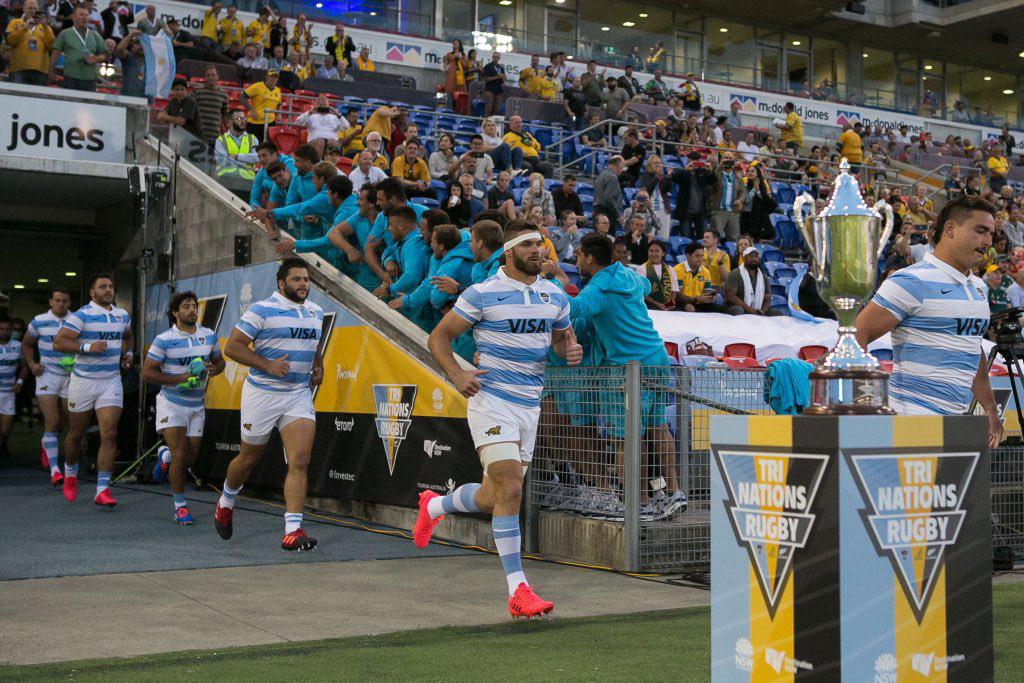 Los pumas 1 by @LosPumas.jpeg