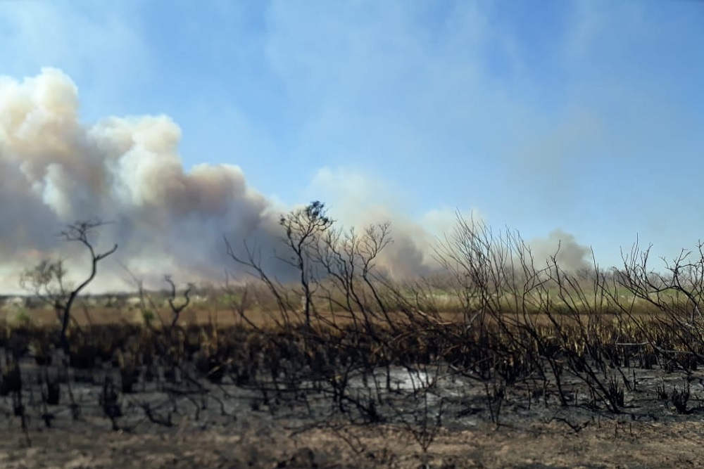 incendio en Balnearia río xanaes by Fed Bomberos Voluntarios